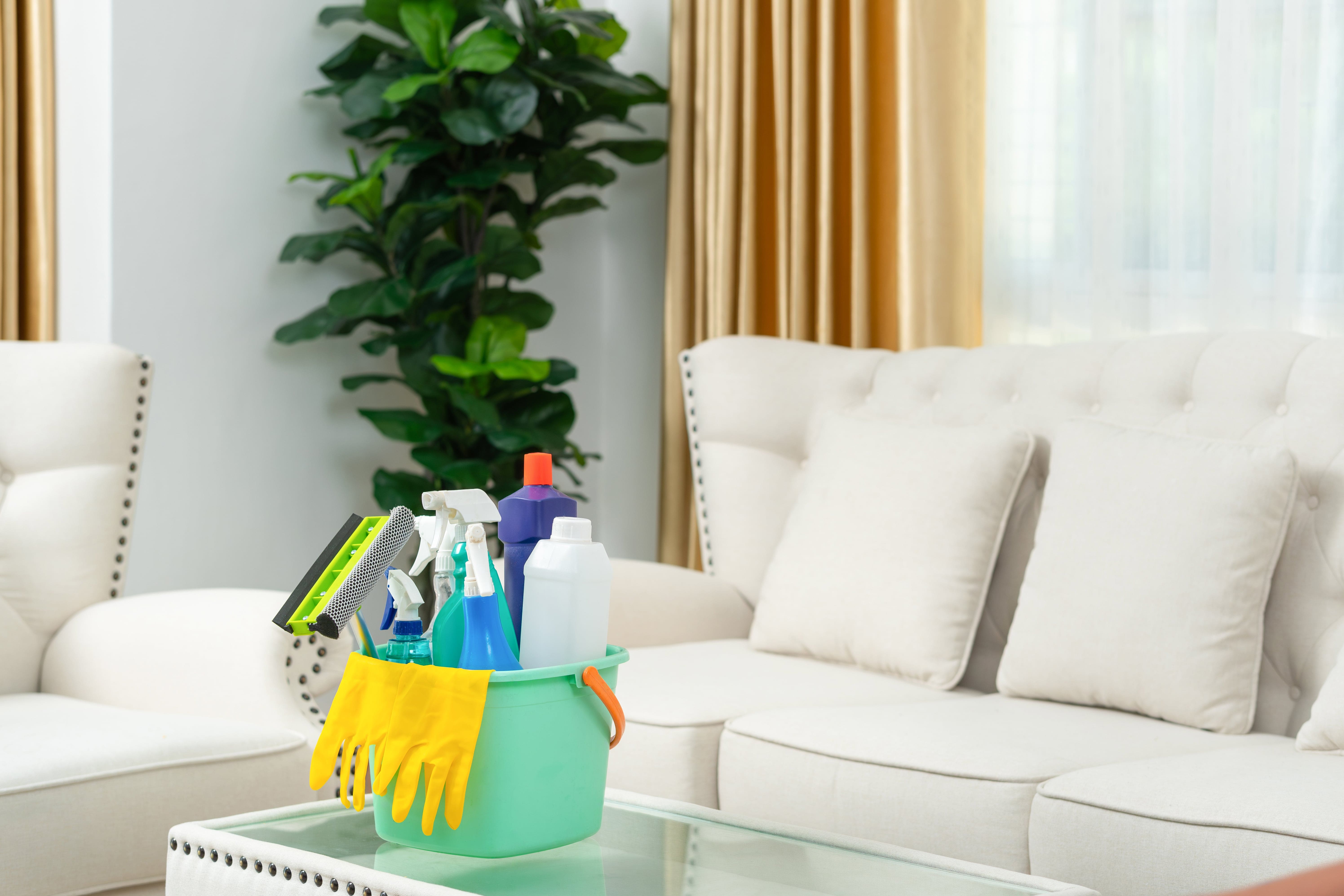 Living Area Cleaning